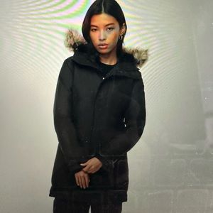 Aritzia TNA Summit parka